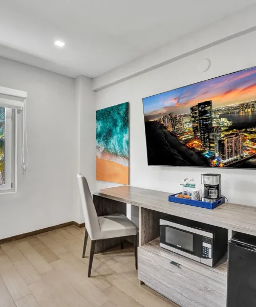 Partial Ocean View King